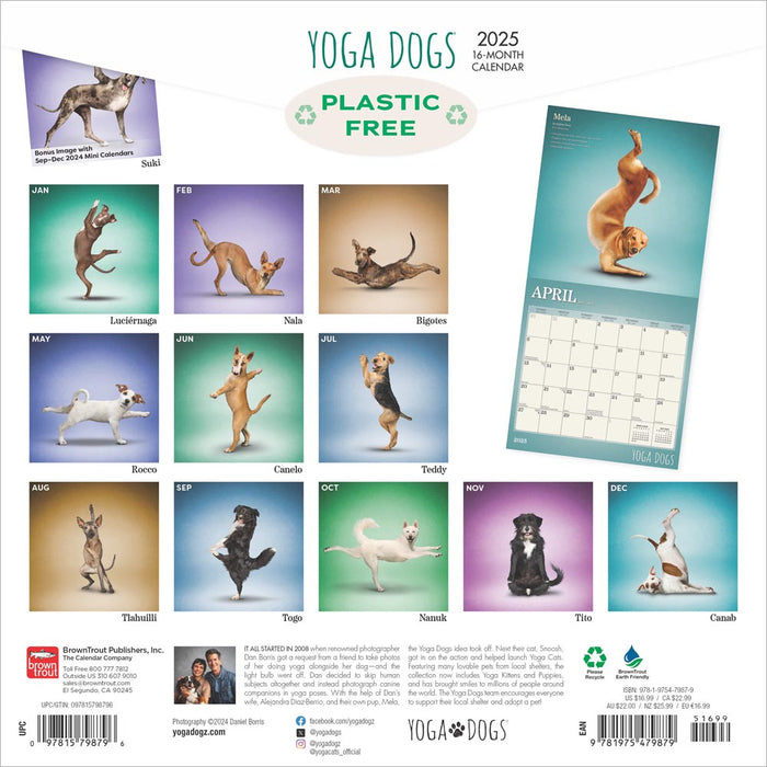 2025 Yoga Dogs Wall Calendar by  BrownTrout Publishers Inc from Calendar Club