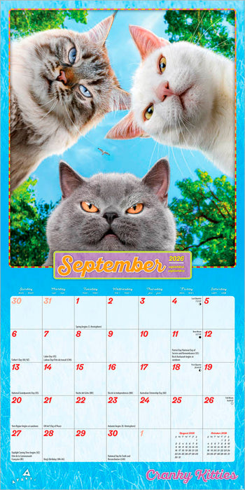 Avanti Cranky Kitties 2026 Mini Wall Calendar