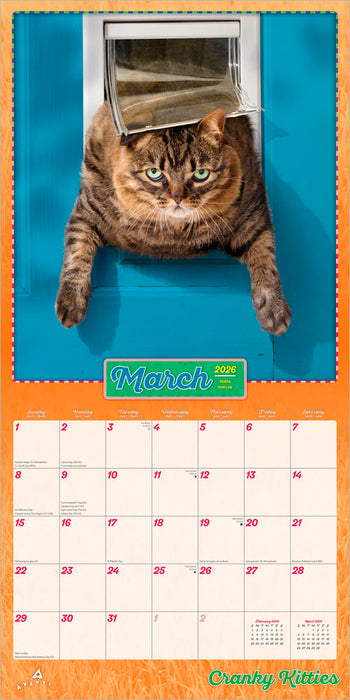 Avanti Cranky Kitties 2026 Square Wall Calendar