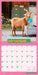 Avanti Funny Farm 2026 Square Wall Calendar