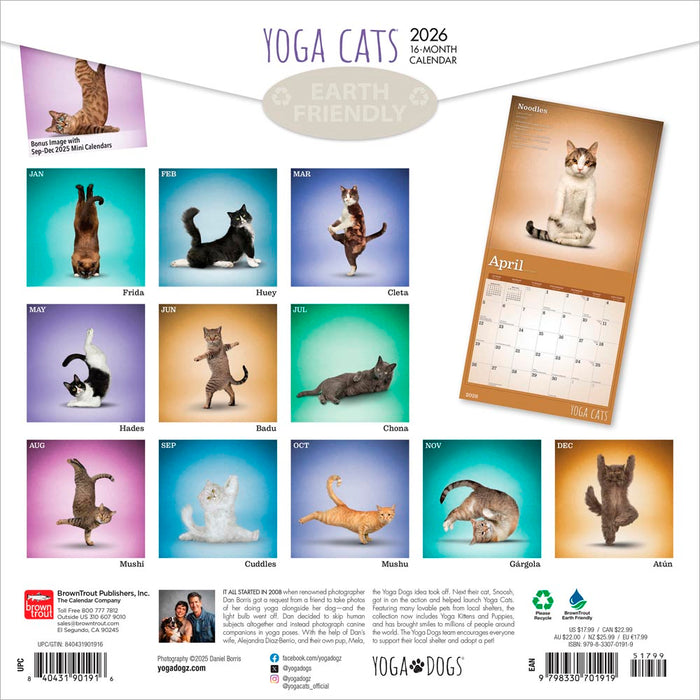 Yoga Cats 2026 Square Wall Calendar