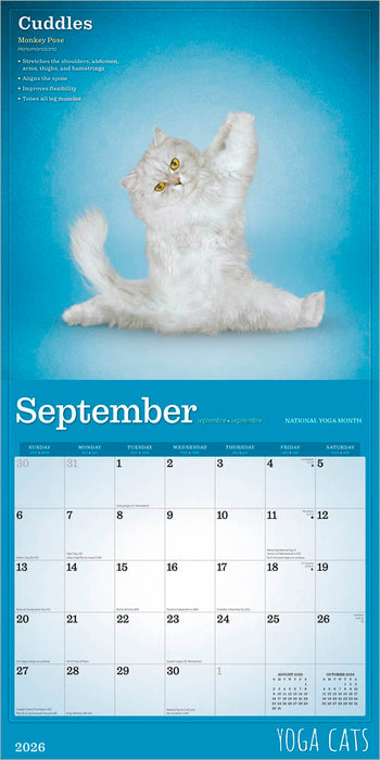 Yoga Cats 2026 Square Wall Calendar