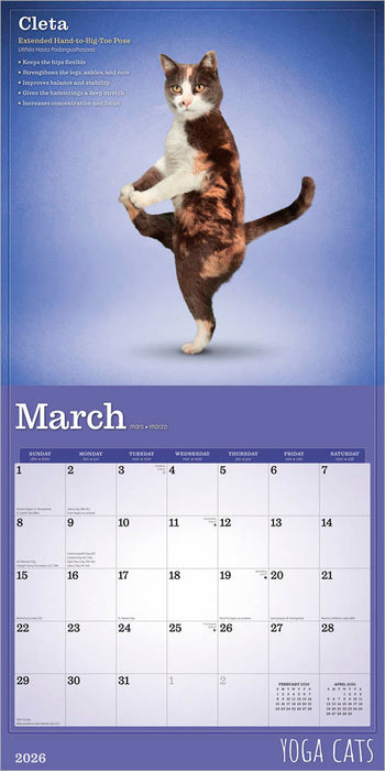 Yoga Cats 2026 Square Wall Calendar