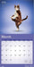 Yoga Cats 2026 Square Wall Calendar