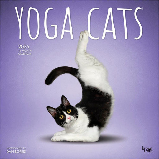 Yoga Cats 2026 Square Wall Calendar