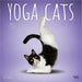 Yoga Cats 2026 Square Wall Calendar
