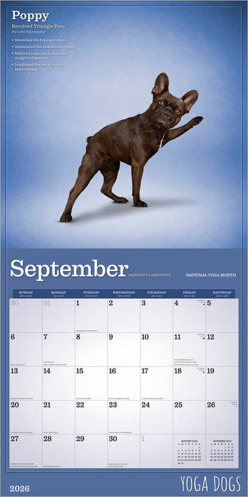 Yoga Dogs 2026 Square Wall Calendar