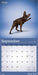 Yoga Dogs 2026 Square Wall Calendar