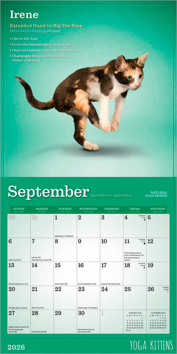 Yoga Kittens 2026 Mini Wall Calendar