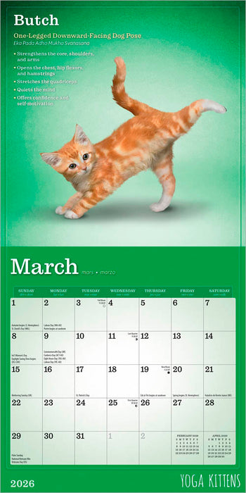 Yoga Kittens 2026 Mini Wall Calendar