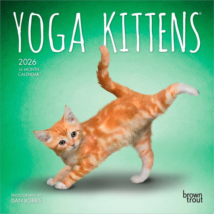 Yoga Kittens 2026 Mini Wall Calendar