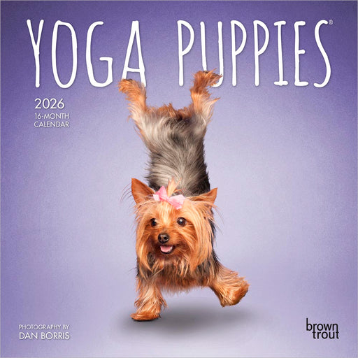 Yoga Puppies 2026 Mini Wall Calendar