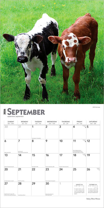 Baby Moo Moos 2026 Square Wall Calendar