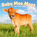Baby Moo Moos 2026 Square Wall Calendar