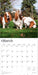 Basset Hounds 2026 Square Wall Calendar (Online Exclusive)