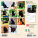 Black Cats 2026 Mini Wall Calendar