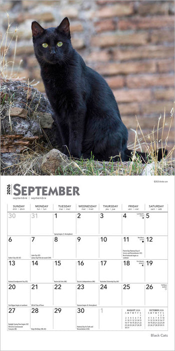 Black Cats 2026 Mini Wall Calendar