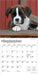 Boxer Puppies 2026 Mini Wall Calendar