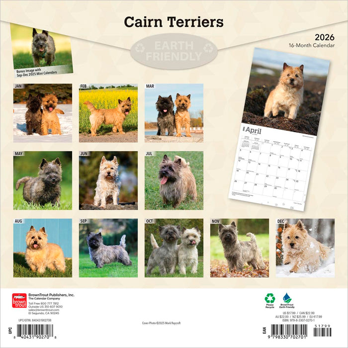 Calendrier A3 2026 du Terrier tibétain Calendrier A3 2026 du Terrier tibétain