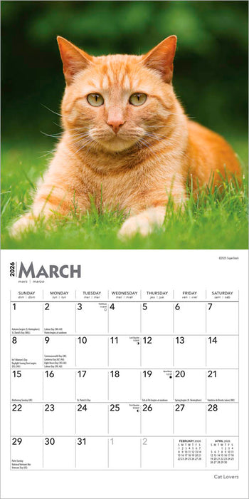 Cat Lovers 2026 Mini Wall Calendar