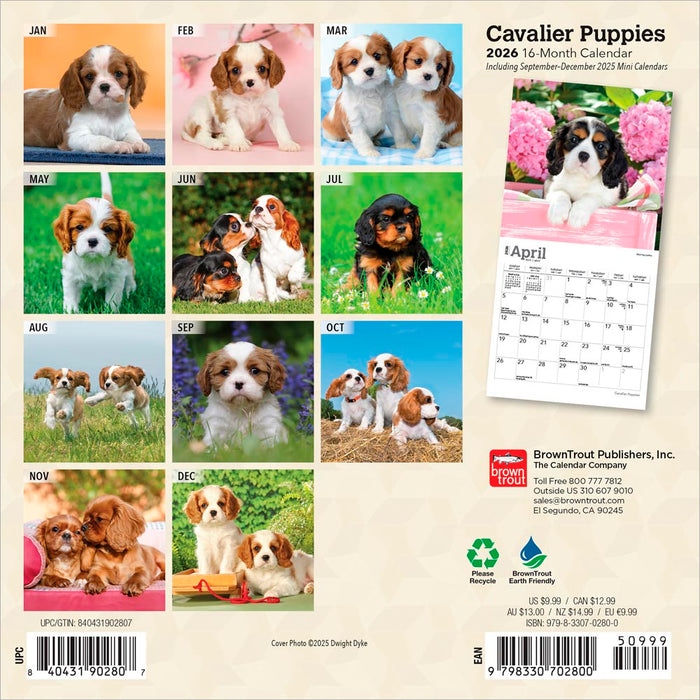 Cavalier King Charles Spaniels 2019 Slimline Wall Calendar | DogDays 2023 Calendar And Puzzle