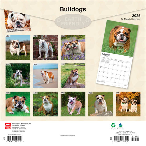 Bulldogs 2026 Square Wall Calendar