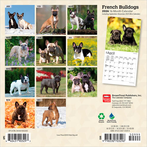 French Bulldogs 2026 Mini Wall Calendar