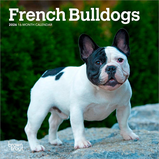 French Bulldogs 2026 Mini Wall Calendar