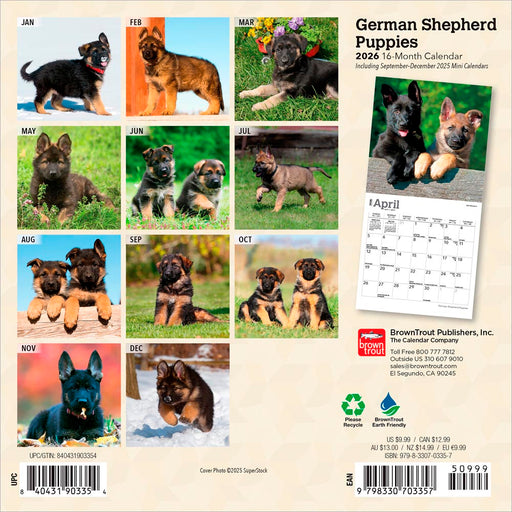 German Shepherd Puppies 2026 Mini Wall Calendar