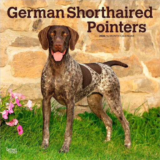 German Shorthaired Pointers 2026 Square Wall Calendar