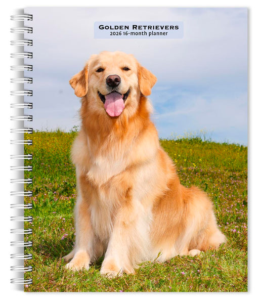 Golden Retrievers 2026 Weekly Diary