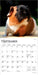 Guinea Pigs 2026 Mini Wall Calendar