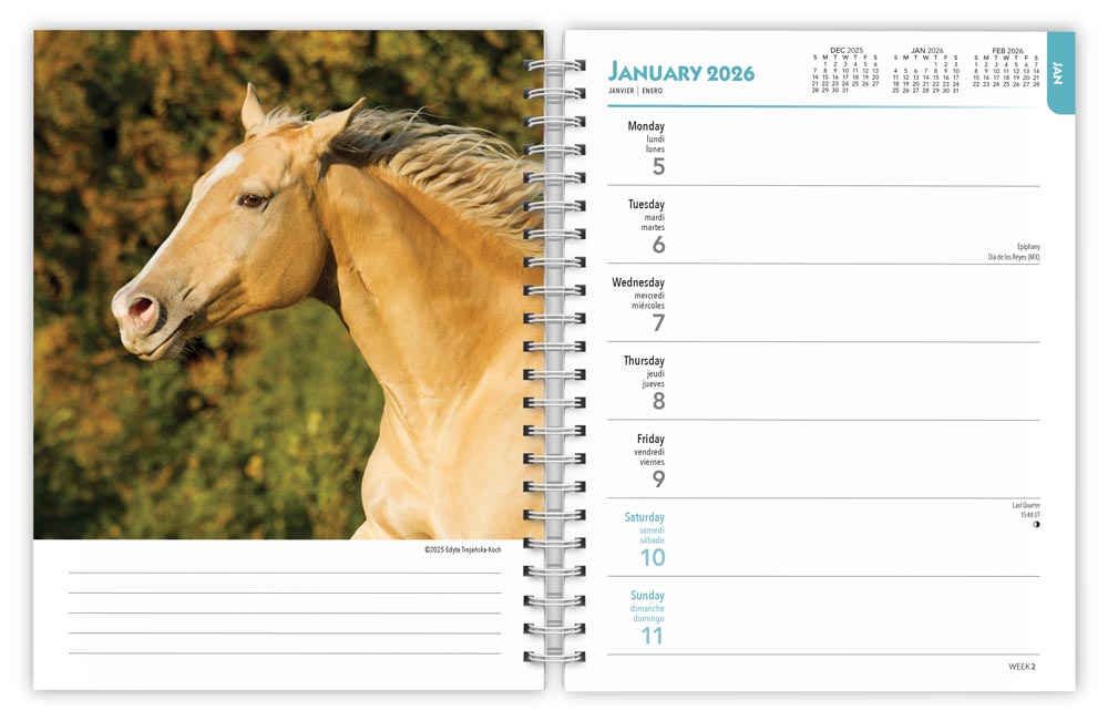 Horse Lovers 2026 Weekly Diary