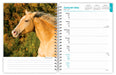Horse Lovers 2026 Weekly Diary