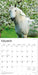 Horse Lovers 2026 Square Wall Calendar