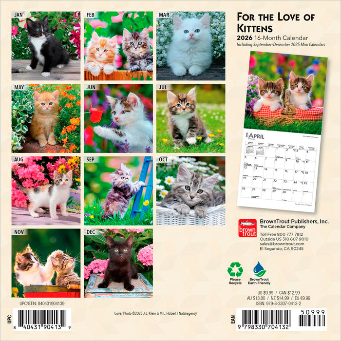 For the Love of Kittens 2026 Mini Wall Calendar