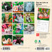 For the Love of Kittens 2026 Mini Wall Calendar
