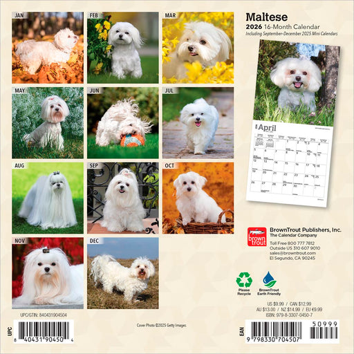Maltese 2026 Mini Wall Calendar