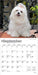 Maltese 2026 Mini Wall Calendar