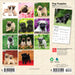 Pug Puppies 2026 Mini Wall Calendar