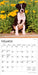 For the Love of Puppies 2026 Mini Wall Calendar