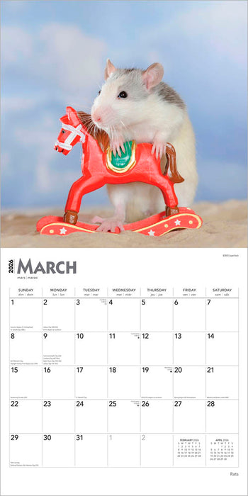 Rats 2026 Square Wall Calendar
