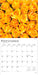 Roses 2026 Square Wall Calendar