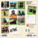 Schnauzer Puppies 2026 Mini Wall Calendar