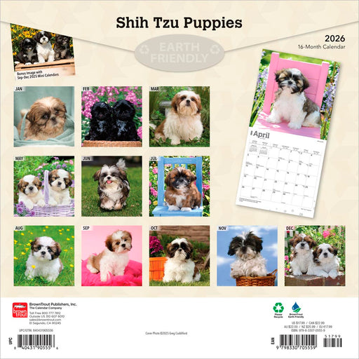 Shih Tzu Puppies 2026 Square Wall Calendar
