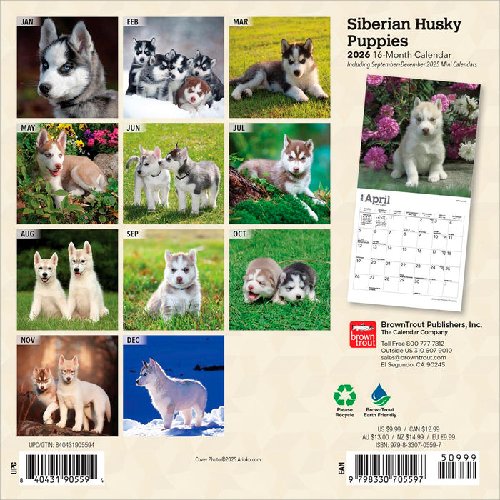 Siberian Husky Puppies 2026 Mini Wall Calendar
