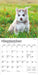 Siberian Husky Puppies 2026 Mini Wall Calendar