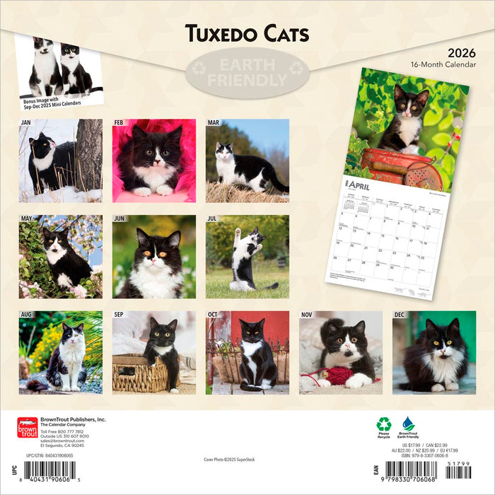 Tuxedo Cats 2026 Square Wall Calendar