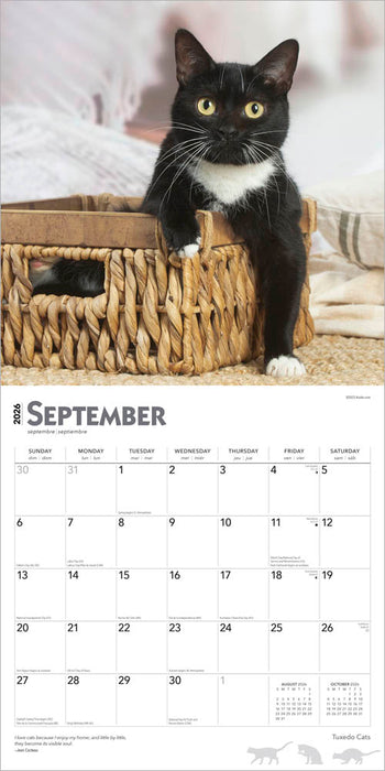 Tuxedo Cats 2026 Square Wall Calendar