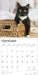 Tuxedo Cats 2026 Square Wall Calendar